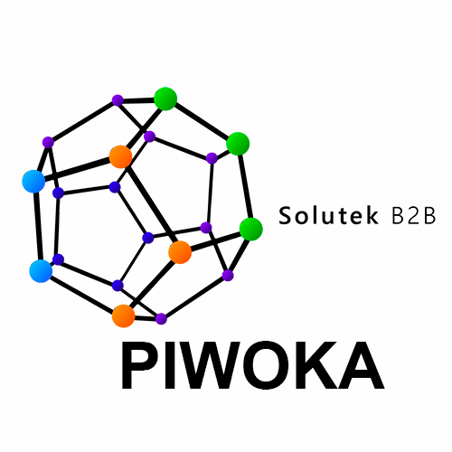 Soporte técnico de cámaras Piwoka