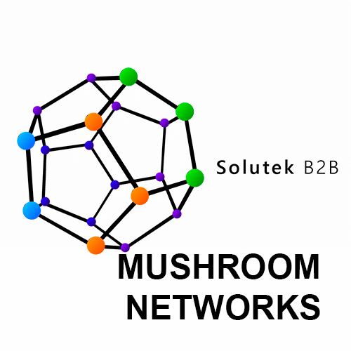 Soporte técnico de firewalls Mushroom Networks