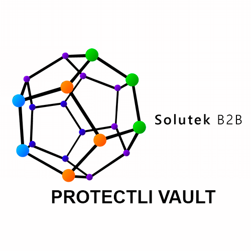 Soporte técnico de firewalls Protectli Vault