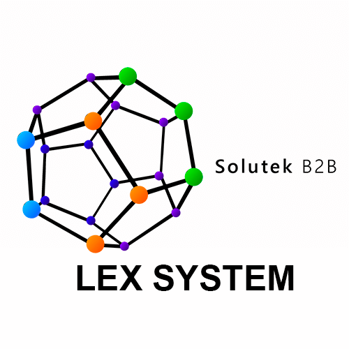 Soporte técnico de monitores Lex System