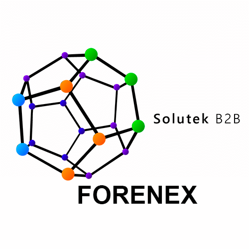 Soporte técnico de monitores industriales Forenex