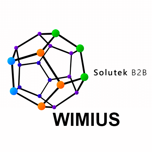 Soporte técnico de proyectores Wimius