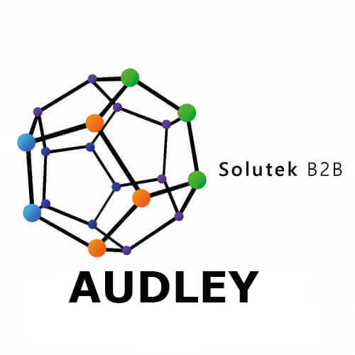 Soporte técnico impresoras gran formato Audley